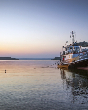 Reflections from the Very Reverend Albert Bogle on Vine Trust’s 40th Anniversary